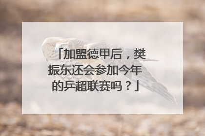 加盟德甲后，樊振东还会参加今年的乒超联赛吗？
