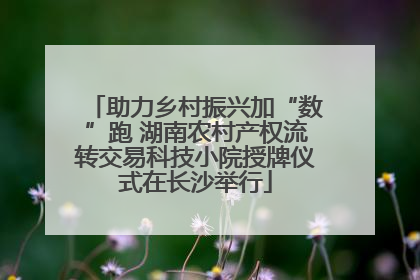 助力乡村振兴加“数”跑 湖南农村产权流转交易科技小院授牌仪式在长沙举行