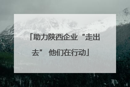 助力陕西企业“走出去” 他们在行动