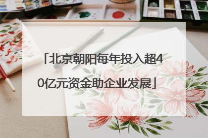 北京朝阳每年投入超40亿元资金助企业发展