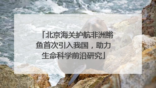 北京海关护航非洲鳉鱼首次引入我国，助力生命科学前沿研究