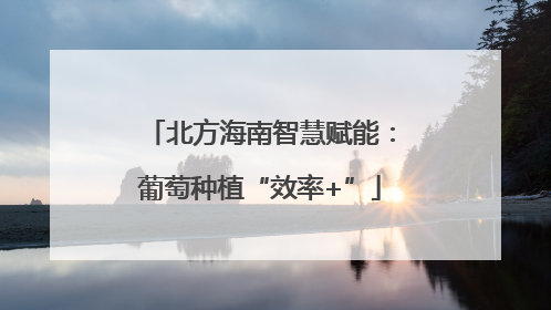 北方海南智慧赋能：葡萄种植“效率+”