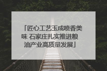 匠心工艺玉成喷香美味 石家庄扎实推进粮油产业高质量发展