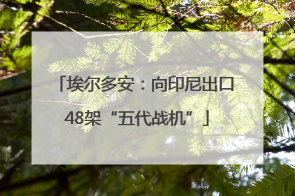 埃尔多安：向印尼出口48架“五代战机”