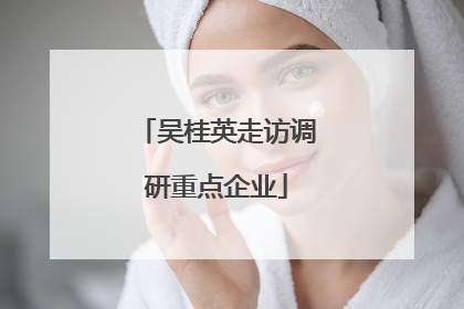 吴桂英走访调研重点企业