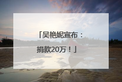 吴艳妮宣布：捐款20万！