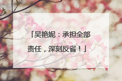 吴艳妮：承担全部责任，深刻反省！