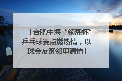 合肥中海“领潮杯”乒乓球赛点燃热情，以球会友筑邻里温情
