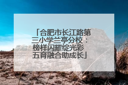 合肥市长江路第三小学兰亭分校：榜样闪耀绽光彩 五育融合助成长