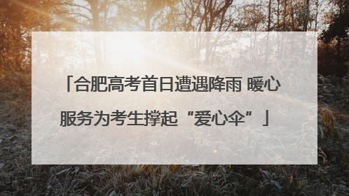 合肥高考首日遭遇降雨 暖心服务为考生撑起“爱心伞”