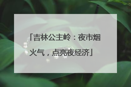 吉林公主岭：夜市烟火气，点亮夜经济