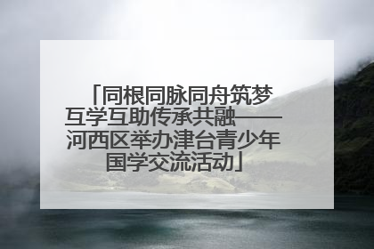 同根同脉同舟筑梦 互学互助传承共融——河西区举办津台青少年国学交流活动