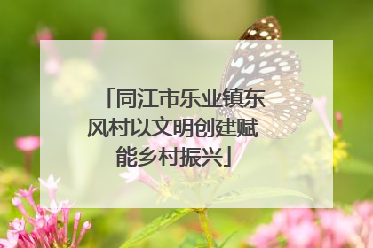 同江市乐业镇东风村以文明创建赋能乡村振兴