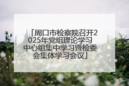 周口市检察院召开2025年党组理论学习中心组集中学习暨检委会集体学习会议