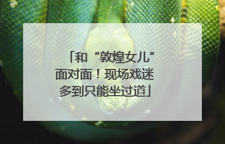 和“敦煌女儿”面对面！现场戏迷多到只能坐过道