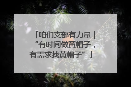 咱们支部有力量｜“有时间做黄帽子，有需求找黄帽子”