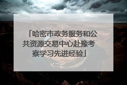 哈密市政务服务和公共资源交易中心赴豫考察学习先进经验