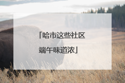 哈市这些社区端午味道浓