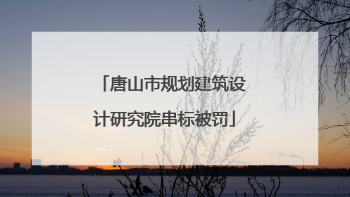 唐山市规划建筑设计研究院串标被罚
