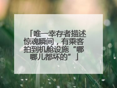 唯一幸存者描述惊魂瞬间，有乘客拍到机舱设施“哪哪儿都坏的”