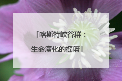 喀斯特峡谷群：生命演化的摇篮