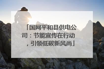 国网平和县供电公司：节能宣传在行动，引领低碳新风尚