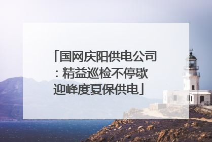 国网庆阳供电公司：精益巡检不停歇 迎峰度夏保供电