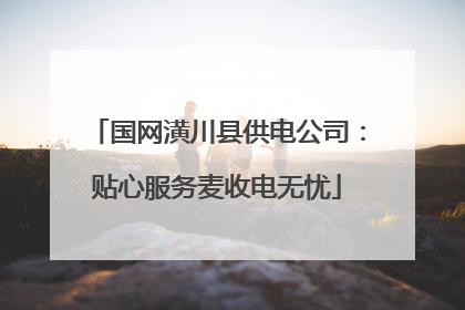 国网潢川县供电公司：贴心服务麦收电无忧