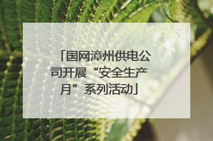 国网漳州供电公司开展“安全生产月”系列活动