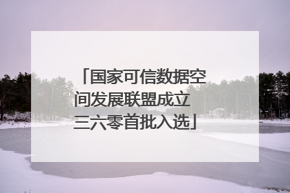 国家可信数据空间发展联盟成立 三六零首批入选