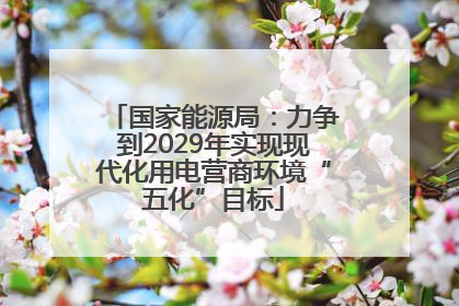 国家能源局：力争到2029年实现现代化用电营商环境“五化”目标