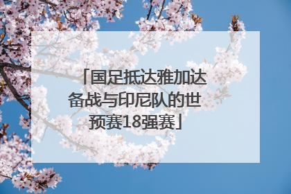国足抵达雅加达备战与印尼队的世预赛18强赛