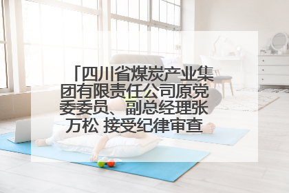 四川省煤炭产业集团有限责任公司原党委委员、副总经理张万松 接受纪律审查和监察调查