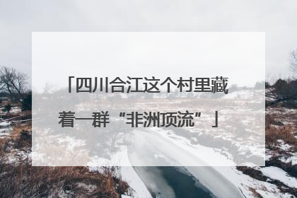 四川合江这个村里藏着一群“非洲顶流”