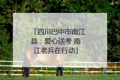 四川巴中市南江县：爱心送考 南江老兵在行动
