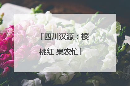 四川汉源：樱桃红 果农忙