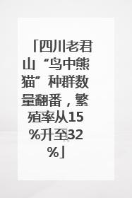 四川老君山“鸟中熊猫”种群数量翻番，繁殖率从15%升至32%