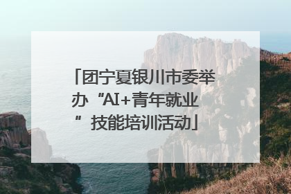 团宁夏银川市委举办“AI+青年就业”技能培训活动