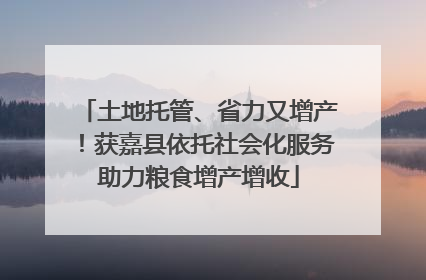 土地托管、省力又增产！获嘉县依托社会化服务助力粮食增产增收
