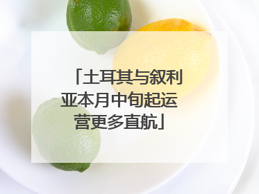 土耳其与叙利亚本月中旬起运营更多直航