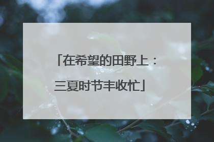 在希望的田野上：三夏时节丰收忙