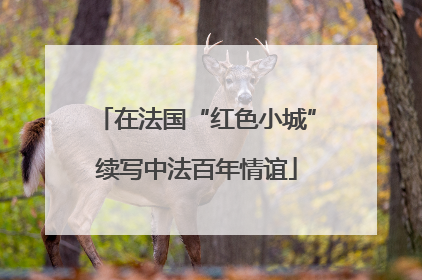 在法国“红色小城”续写中法百年情谊