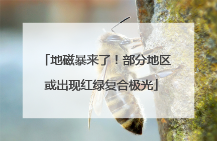 地磁暴来了！部分地区或出现红绿复合极光