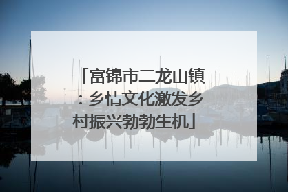 富锦市二龙山镇：乡情文化激发乡村振兴勃勃生机