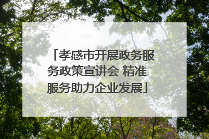 孝感市开展政务服务政策宣讲会 精准服务助力企业发展