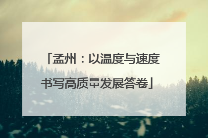 孟州：以温度与速度书写高质量发展答卷