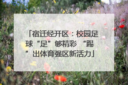 宿迁经开区：校园足球“足”够精彩 “踢”出体育强区新活力