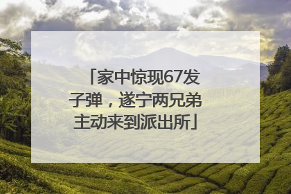 家中惊现67发子弹，遂宁两兄弟主动来到派出所