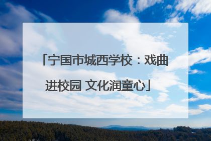 宁国市城西学校：戏曲进校园 文化润童心