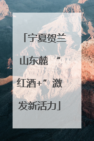 宁夏贺兰山东麓 “红酒+”激发新活力